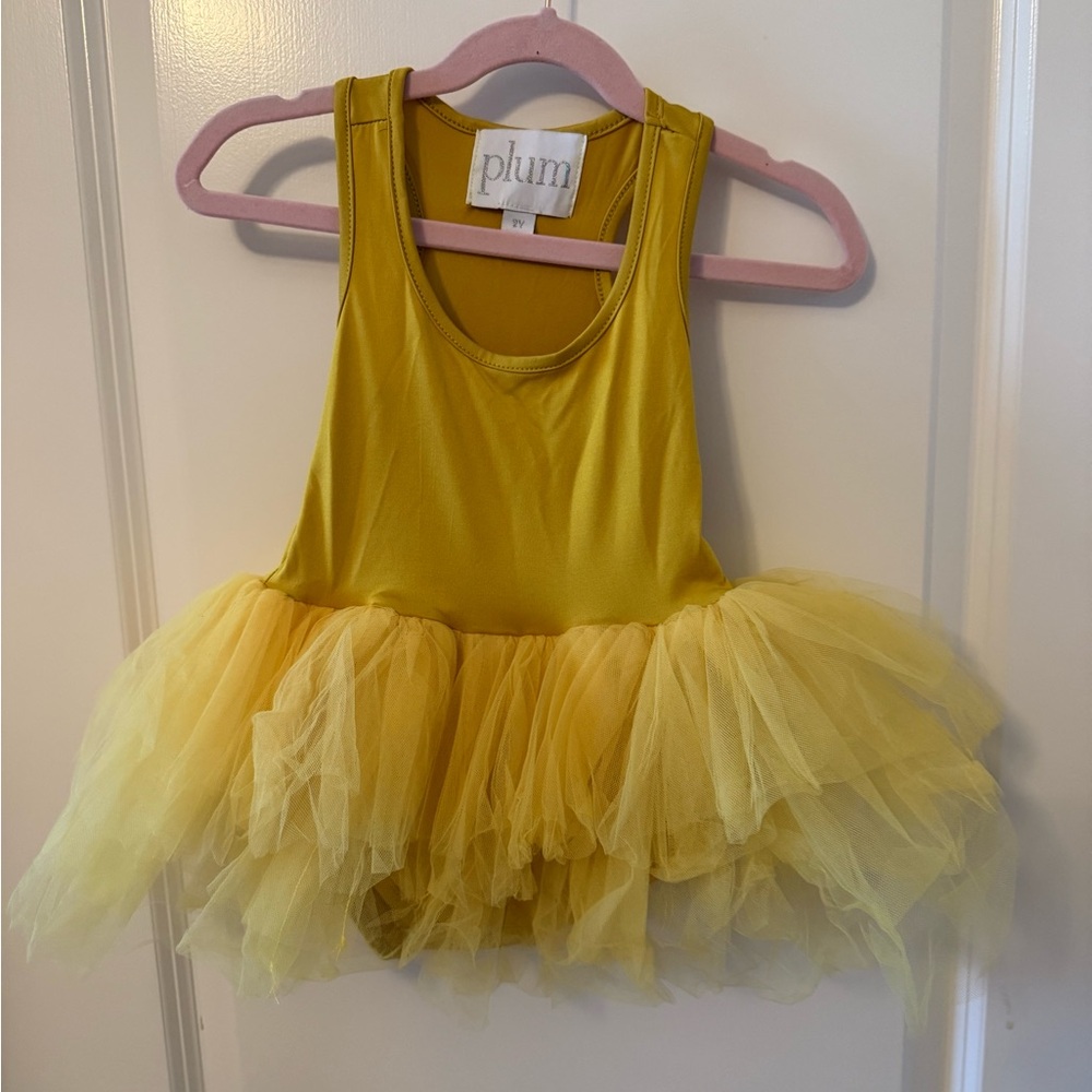 2 year Plum tutu
